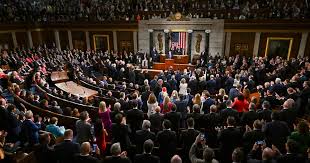 Ilhan Omar at the State of the Union