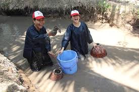 Image result for cá lóc nướng rơm