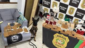 Tráfico internacional: mansão servia de fachada para produção de cocaína