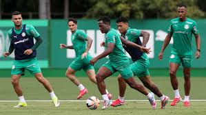 Palmeiras realiza ensaios táticos e segue preparação para as quartas do Paulista