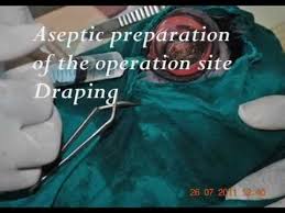 Image result for eyeball enucleation cattle