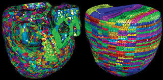 Image result for super computer modeling