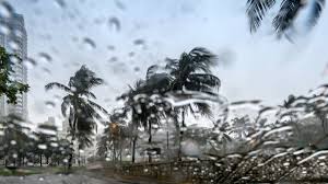 NBC 6 South Florida - News update