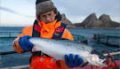 Fishing in Norway