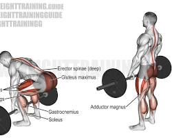 Image of Deadlift exercise