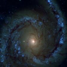 Image result for ngc 1566