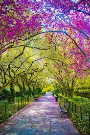 Kết quả hình ảnh cho vầng trăng ai xẻ làm đôi images