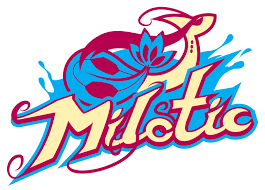 Milotic Banner