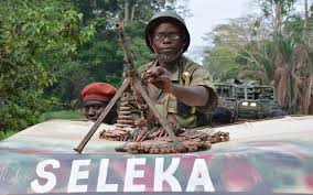 Resultado de imagen de Seleka?