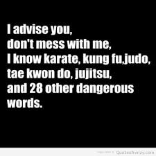 Funny Karate Quotes. QuotesGram via Relatably.com