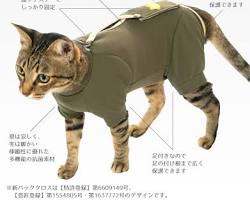 猫 術後服 部分タイプの画像