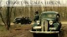 Drumet n calea lupilor (1988) - 