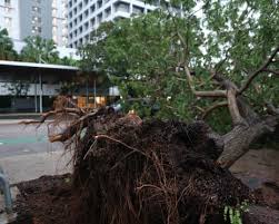 News source: The Guardian