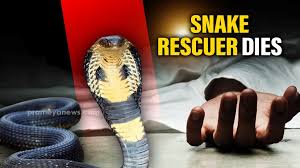 Odisha: Snake rescuer dies after cobra bite during public stunt in Balangir