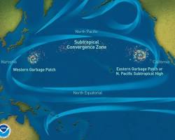 Image of Great Pacific Garbage Patch