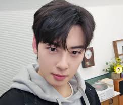 조사4국 아이콘