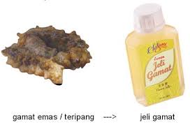 images?q=tbn:ANd9GcSIhAS0q92BbmeTxcasYNHPqXxF5In4budnOBH_wQPiUjifBG86