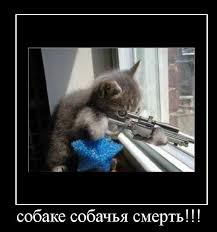 "В причине смерти указывается: упал со ступеньки, сбит авто, попал под поезд. Плюс, уволены задним числом", - боевики на Донбассе жалуются на убийства под видом несчастных случаев - Цензор.НЕТ 4041