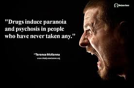 Marijuana Quote by Terence McKenna #2 &quot;Drugs induce paranoia and ... via Relatably.com