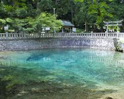 山口県 別府弁天池の画像