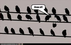 Image result for funny critters