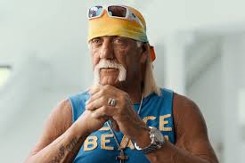 hulk hogan