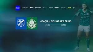 Palmeiras Feminino Arranca Vitória! Veja o Resumo do Jogo! - Imagen ilustrativa del artículo