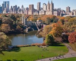 Image of Central Park, New York City