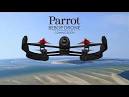 2 parrots singing and talking dolls that repeat what you say
