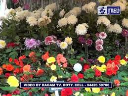 Image result for ooty botanical garden flower show 2015