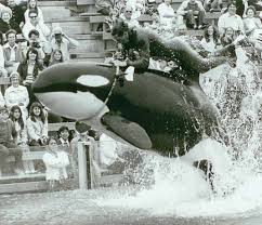 April 2016 Issue 304