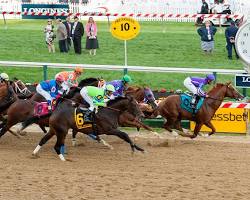 Image of horse race