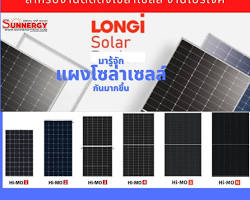 รูปภาพแผงโซลาร์เซลล์ LONGi Solar