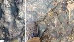 Vandals take hammer ancient Australia