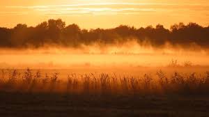 De Noordoostpolder - News update