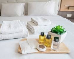 Image of Hotel room amenities