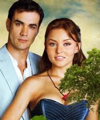 Resultado de imagen para telenovelas de david zepeda