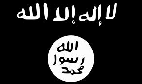 Image result for isis flag