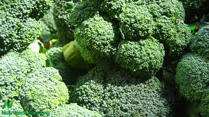 Image result for broccoli pics