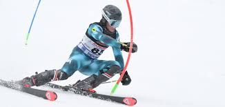 Trend Google: sci
