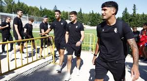 diariodenavarra.es - News update