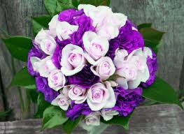 Resultado de imagem para flor  lisianthus