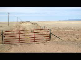 Résultat de recherche d'images pour "BARBELE MIMER"