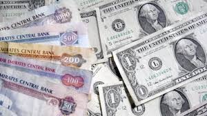 Almost 300 arrested in joint UAE-US-Chinese crackdown on financial crime