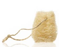 Immagine di Spugna per stoviglie in luffa