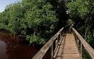 Las Cabezas de San Juan Nature Reserve Puerto Rico