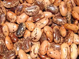 Image result for brown beans