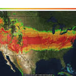  As pollen storm video goes viral, allergy sufferers endure soaring pollen in central Pa.