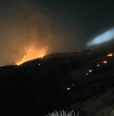 آتش‌سوزی در دامنه کوه دروازه قرآن شیراز