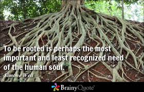 Chuck Schumer Quotes - BrainyQuote via Relatably.com